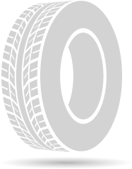 MICHELIN PRIMACY 4+ | 205/55/R16/91V | Verano
